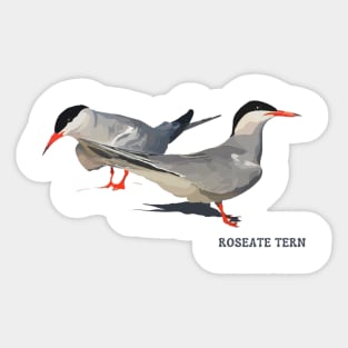 Roseate Tern Sticker